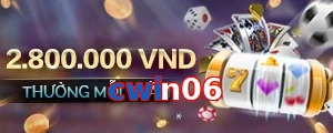 cwin06